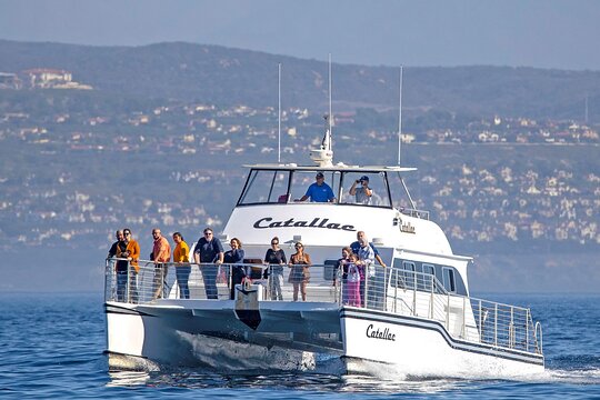 Tour image 1